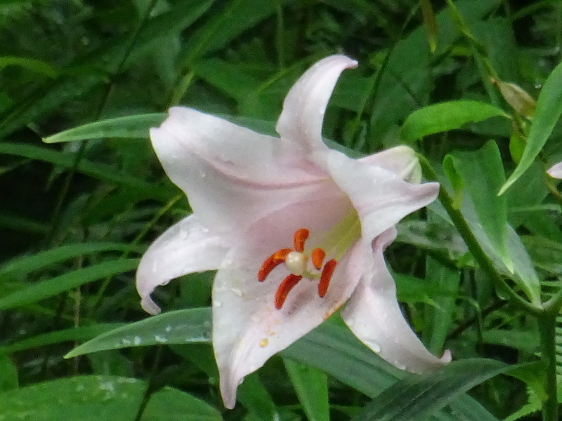 c0108460_22214527.jpg