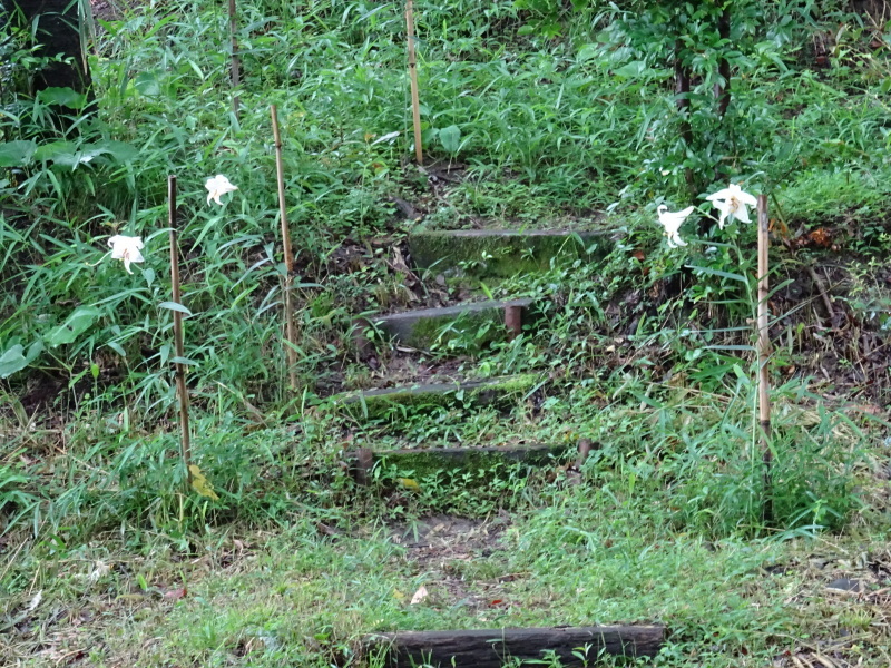 c0108460_22244301.jpg