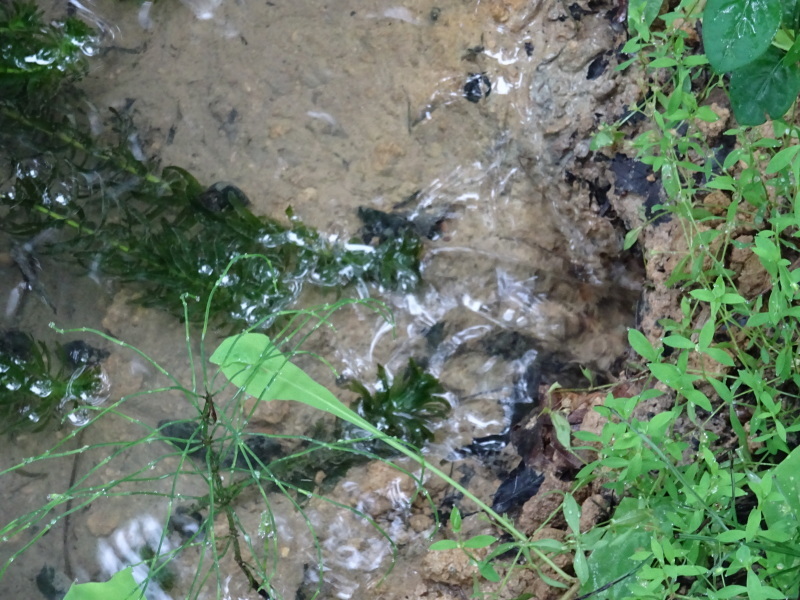 c0108460_22260770.jpg