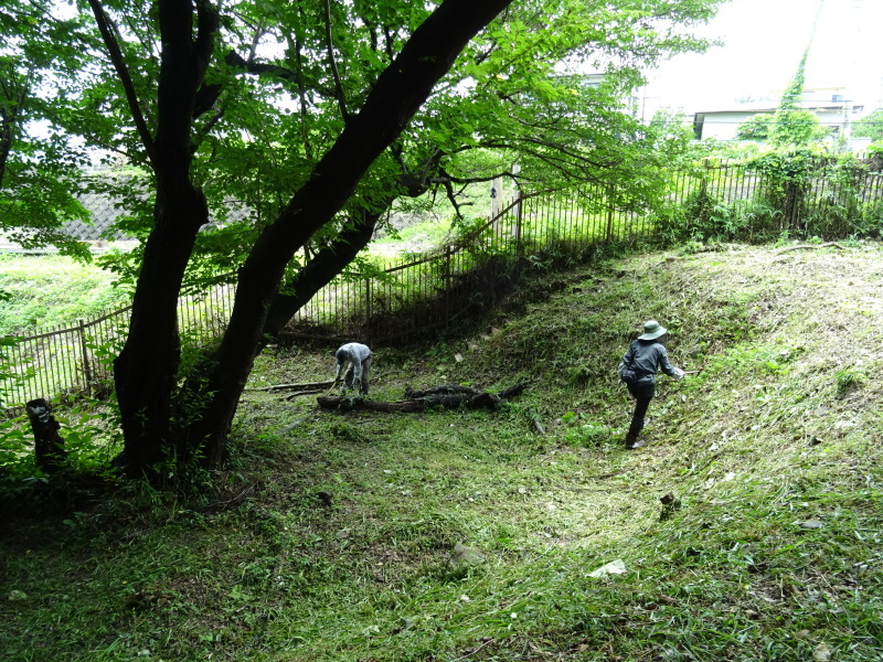 c0108460_22350839.jpg