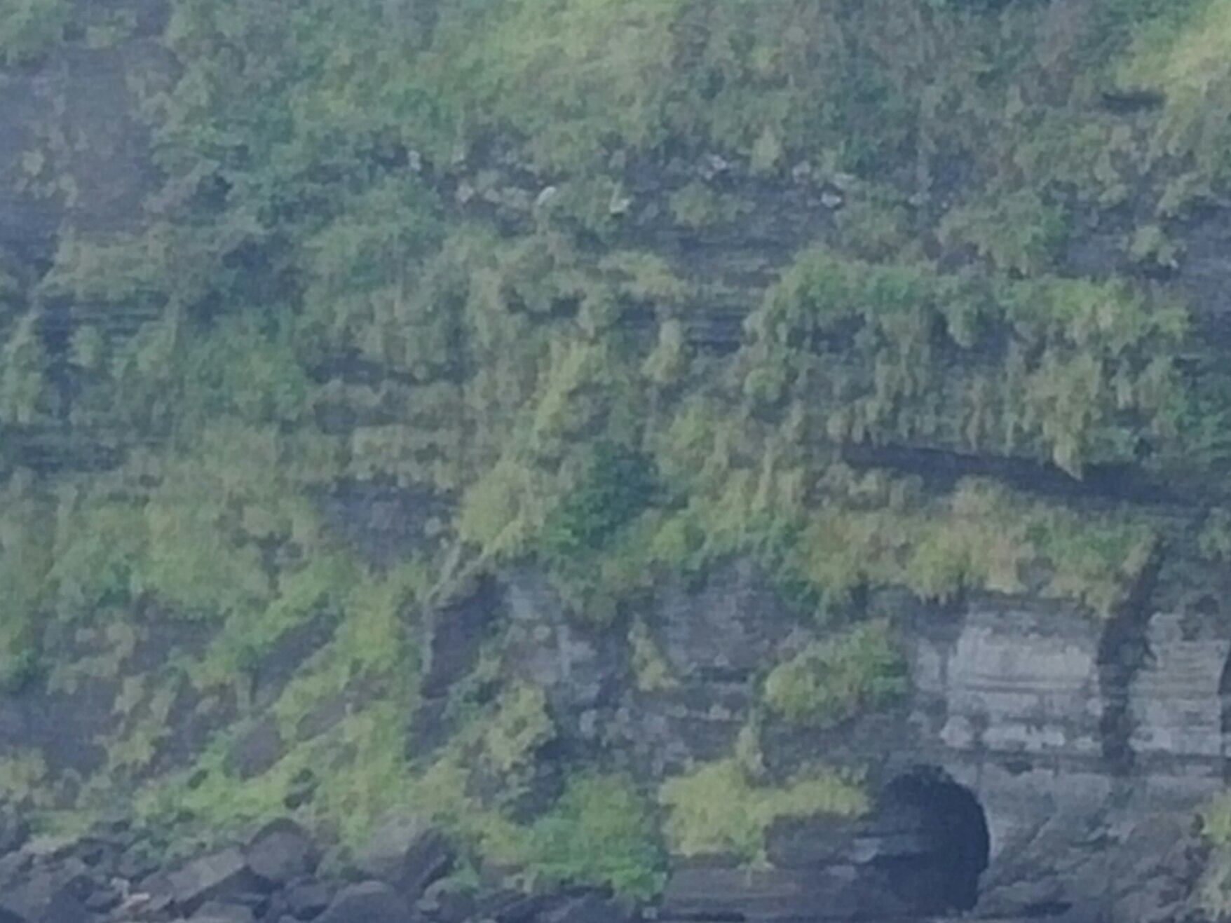 f0000262_22521684.jpg