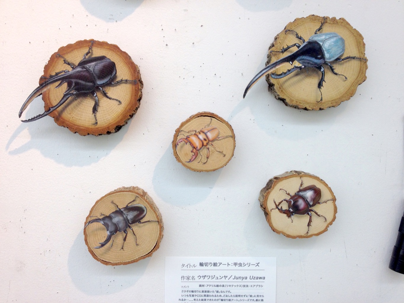 【展覧会】6/6〜6/12 理科美術展2018_a0021565_13143049.jpg