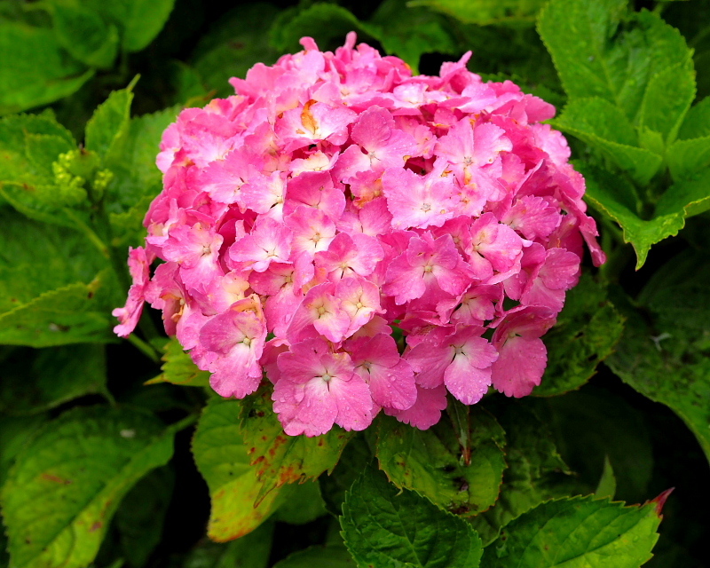 c0305565_17521777.jpg