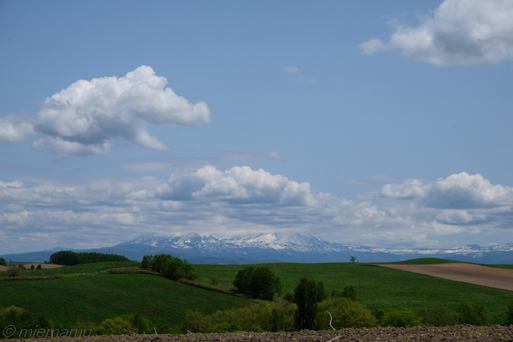d0340565_19142060.jpg