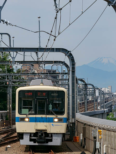 f0199866_20245308.jpg