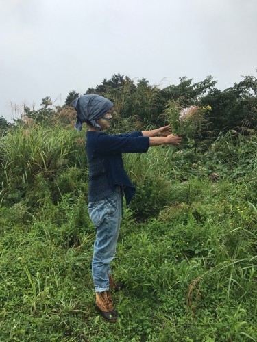 c0248467_05231568.jpeg