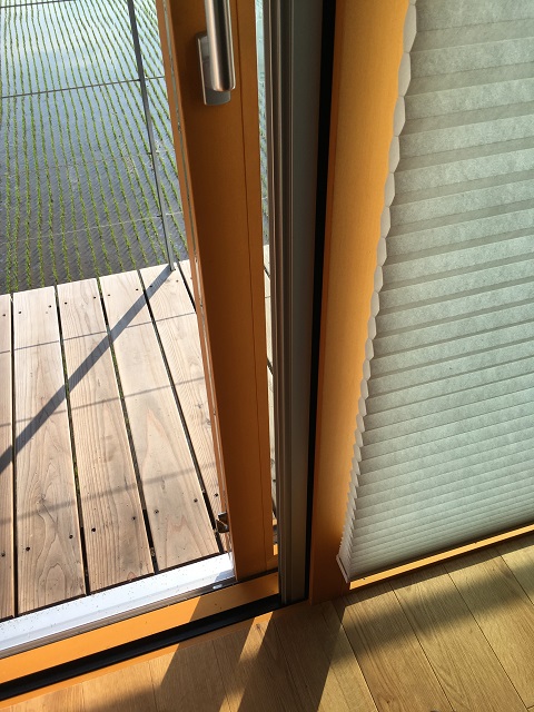 c0247768_8144736.jpg