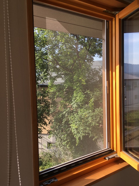 c0247768_8145285.jpg