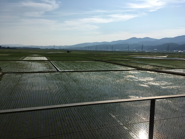 c0247768_839843.jpg