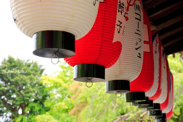 奥嵯峨野めぐり～化野念仏寺へ_b0055171_14273600.jpg