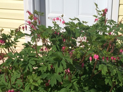 c0353373_21534380.jpg