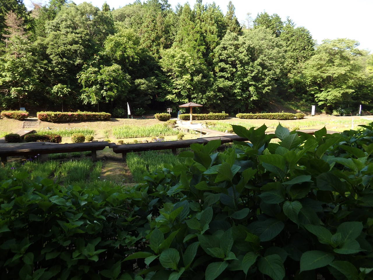 d0054276_20401578.jpg