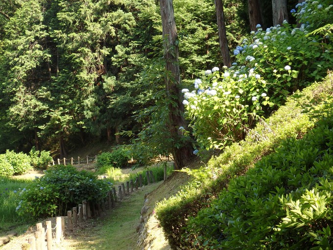 d0054276_20402616.jpg