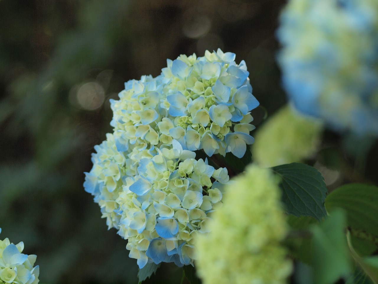 d0054276_20405535.jpg