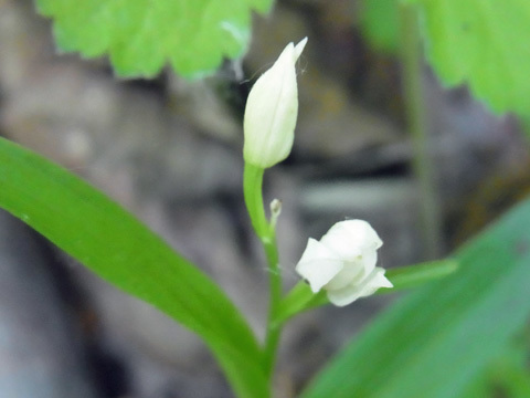 f0083977_16180501.jpg