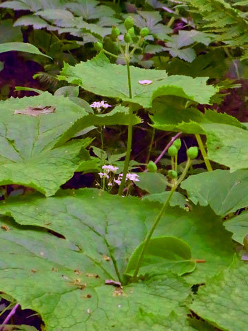 f0083977_16211522.jpg