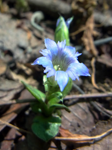 f0083977_16255033.jpg