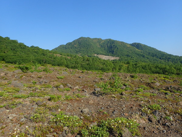 a0141678_16093306.jpg