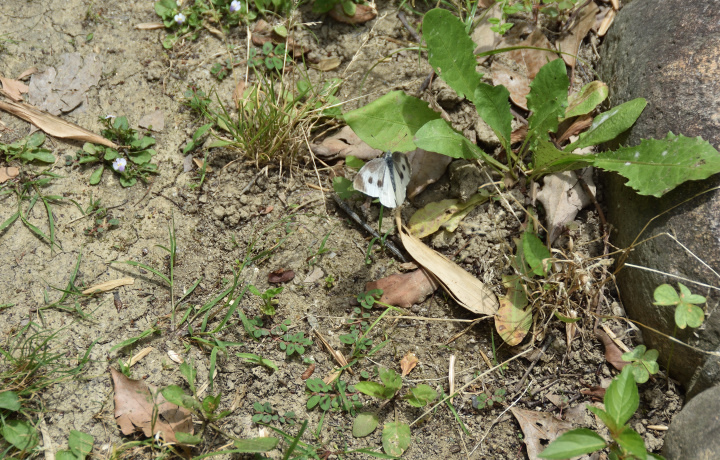 f0108478_14205044.jpg
