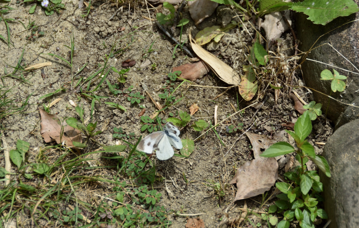 f0108478_14215826.jpg