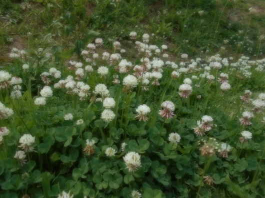 c0069380_21075443.jpg