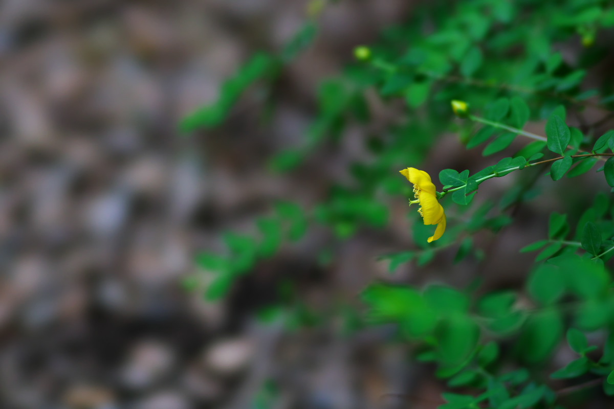 a0083081_18120736.jpg
