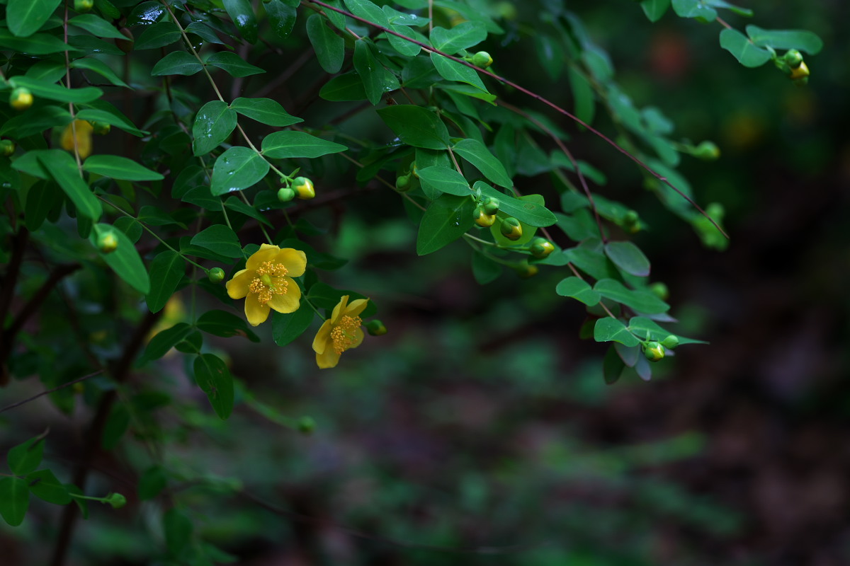 a0083081_18122837.jpg