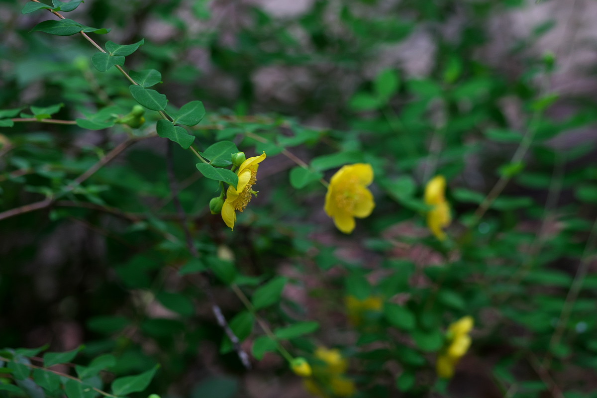 a0083081_18123345.jpg