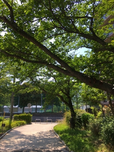 d0370681_23095262.jpg