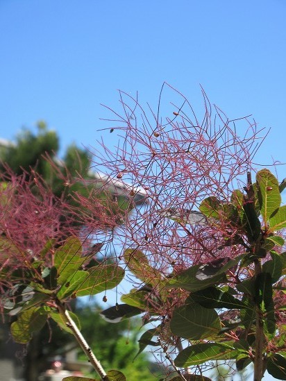b0182884_00094238.jpg