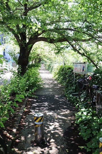 d0183387_14431336.jpg