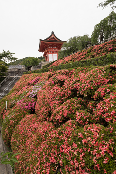 清水寺_e0051888_02253103.jpg