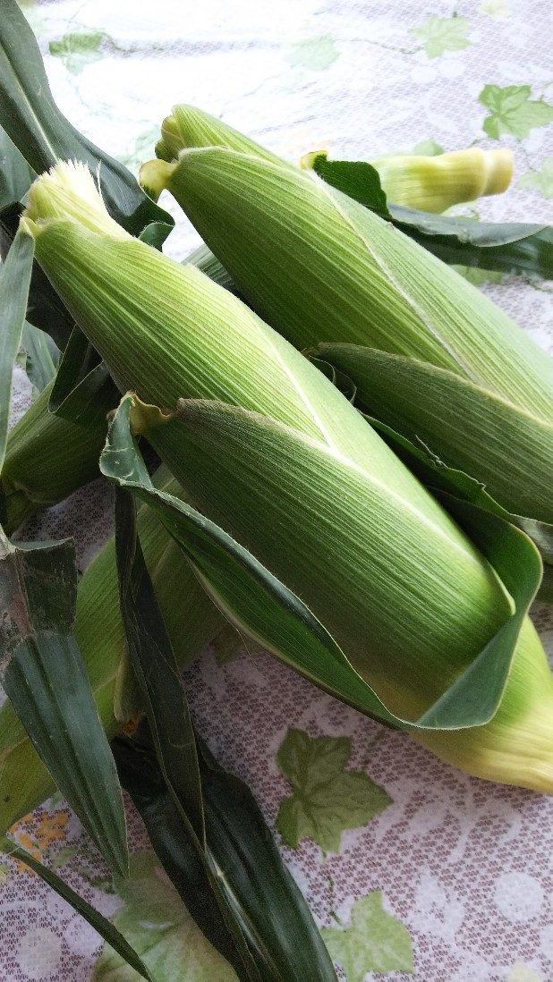 c0191390_20142667.jpg