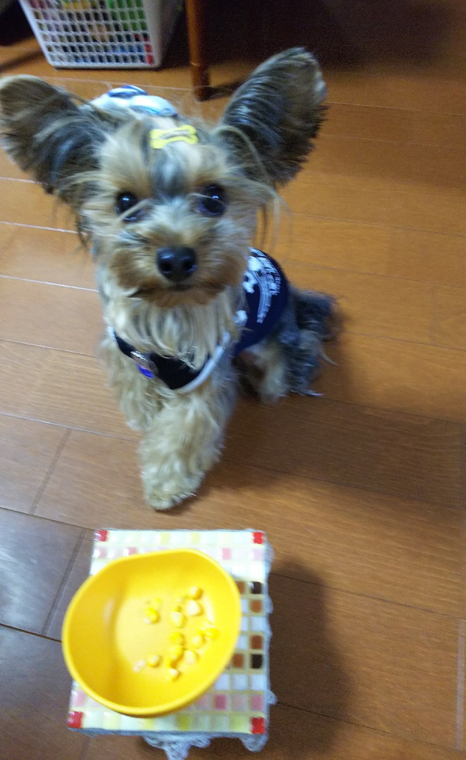 c0191390_20232130.jpg