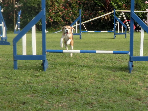 a0319693_21124840.jpg