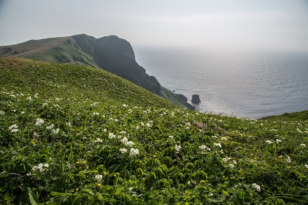 日本最北端の島。礼文島トレッキングへ！_d0198793_17573319.jpg