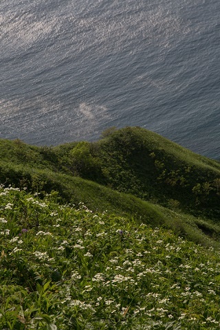 日本最北端の島。礼文島トレッキングへ！_d0198793_17581064.jpg