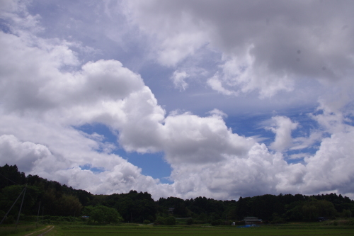 c0337494_17110558.jpg