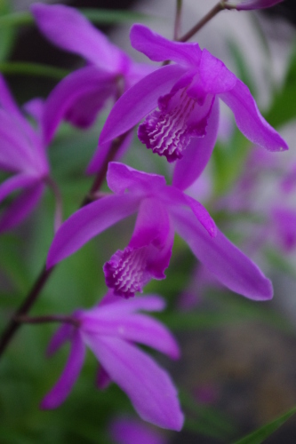 c0337494_17121639.jpg