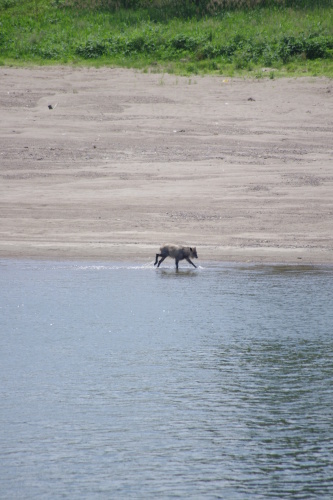 c0337494_17173994.jpg