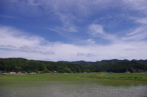c0337494_17175478.jpg