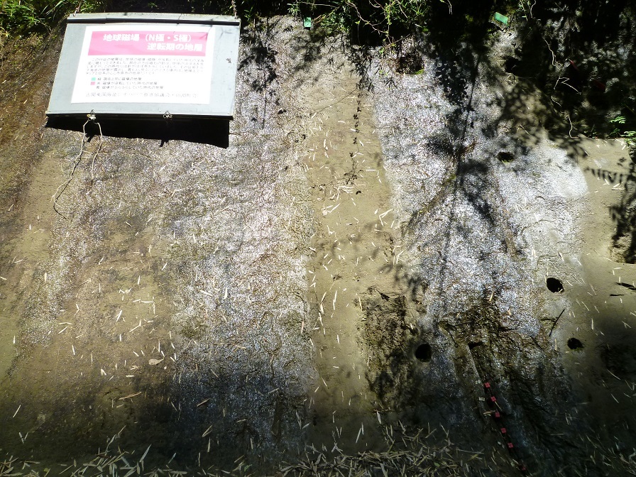 c0187899_20105439.jpg