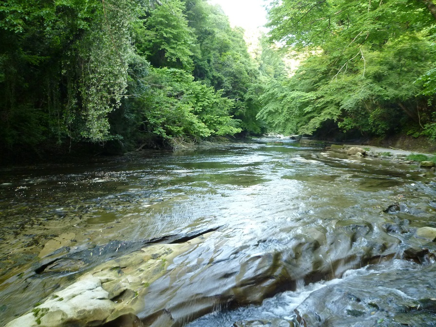 c0187899_21143781.jpg