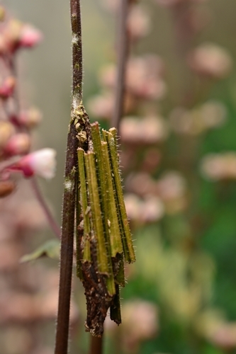 a0240403_10285900.jpg