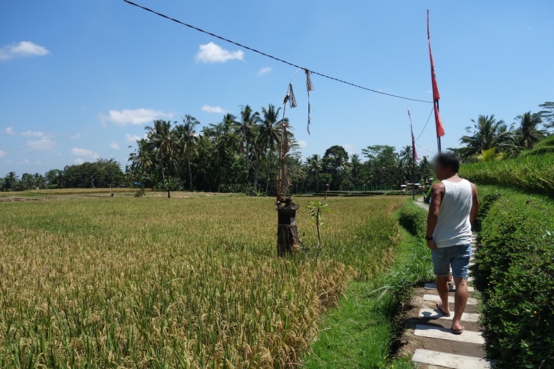 d0133704_14222487.jpg