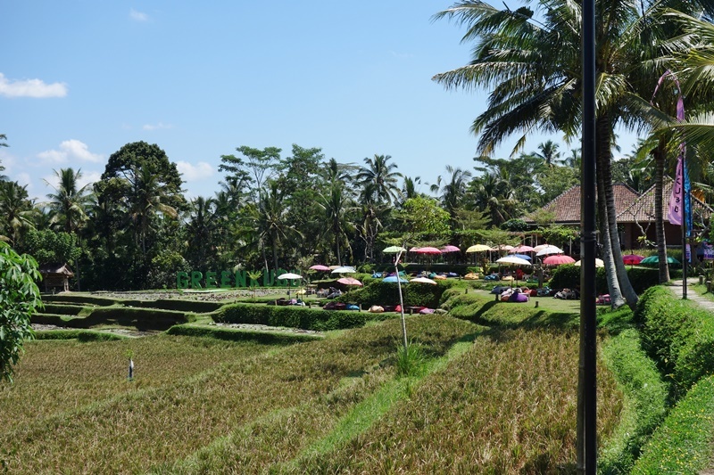 d0133704_14222731.jpg