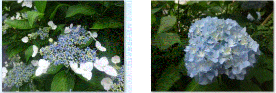 f0231709_02291763.gif