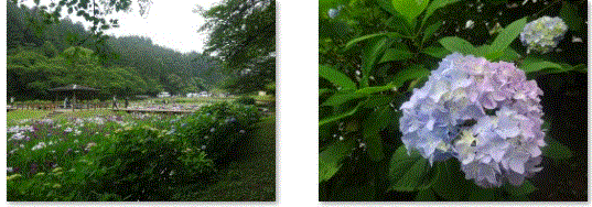 f0231709_02355732.gif