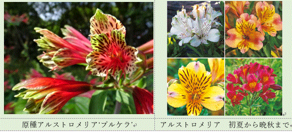 f0231709_10454742.gif