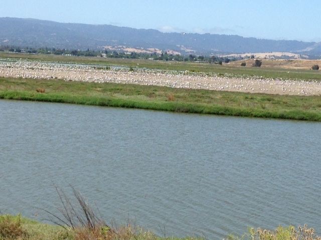 a0331910_08342000.jpg